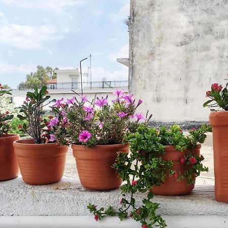 Apartmán Dimitra'S Amarynthos Exteriér fotografie